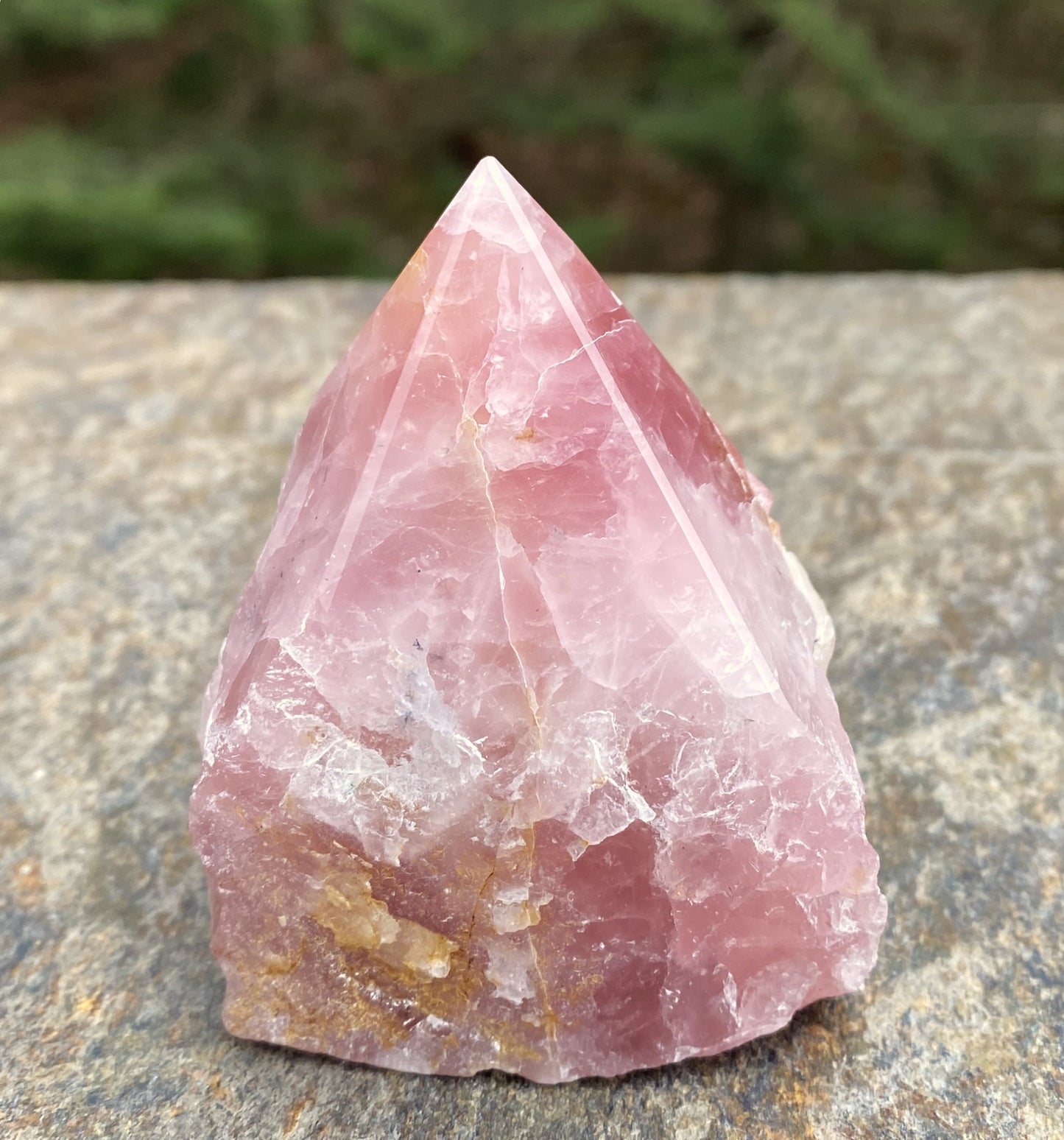Rose Quartz Point Golden Healer Quartz Inclusions Love Compassion 29446S