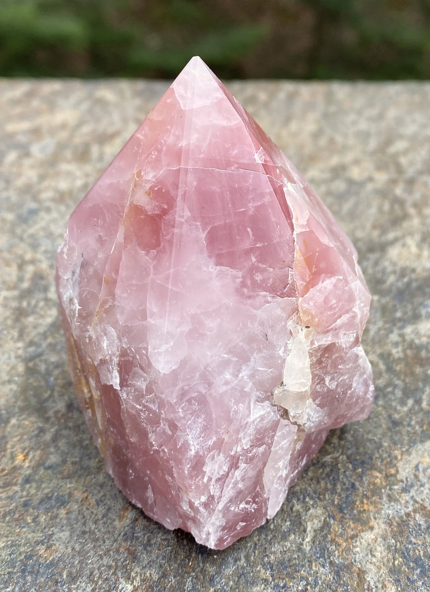 Rose Quartz Point Golden Healer Quartz Inclusions Love Compassion 29446S