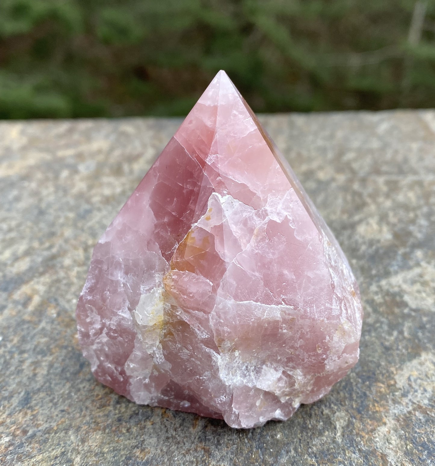 Rose Quartz Point Golden Healer Quartz Inclusions Love Compassion 29446S