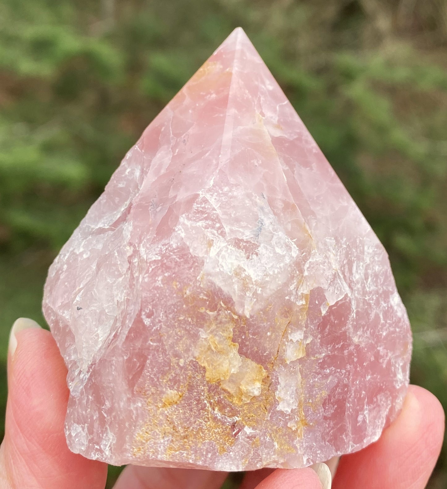 Rose Quartz Point Golden Healer Quartz Inclusions Love Compassion 29446S