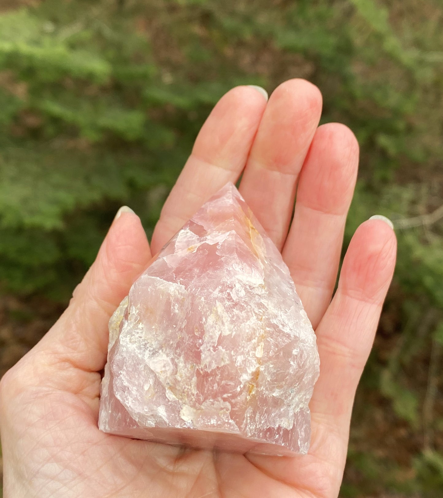 Rose Quartz Point Golden Healer Quartz Inclusions Love Compassion 29446S