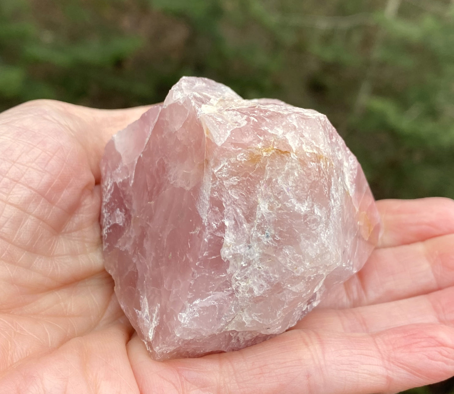 Rose Quartz Point Golden Healer Quartz Inclusions Love Compassion 29446S