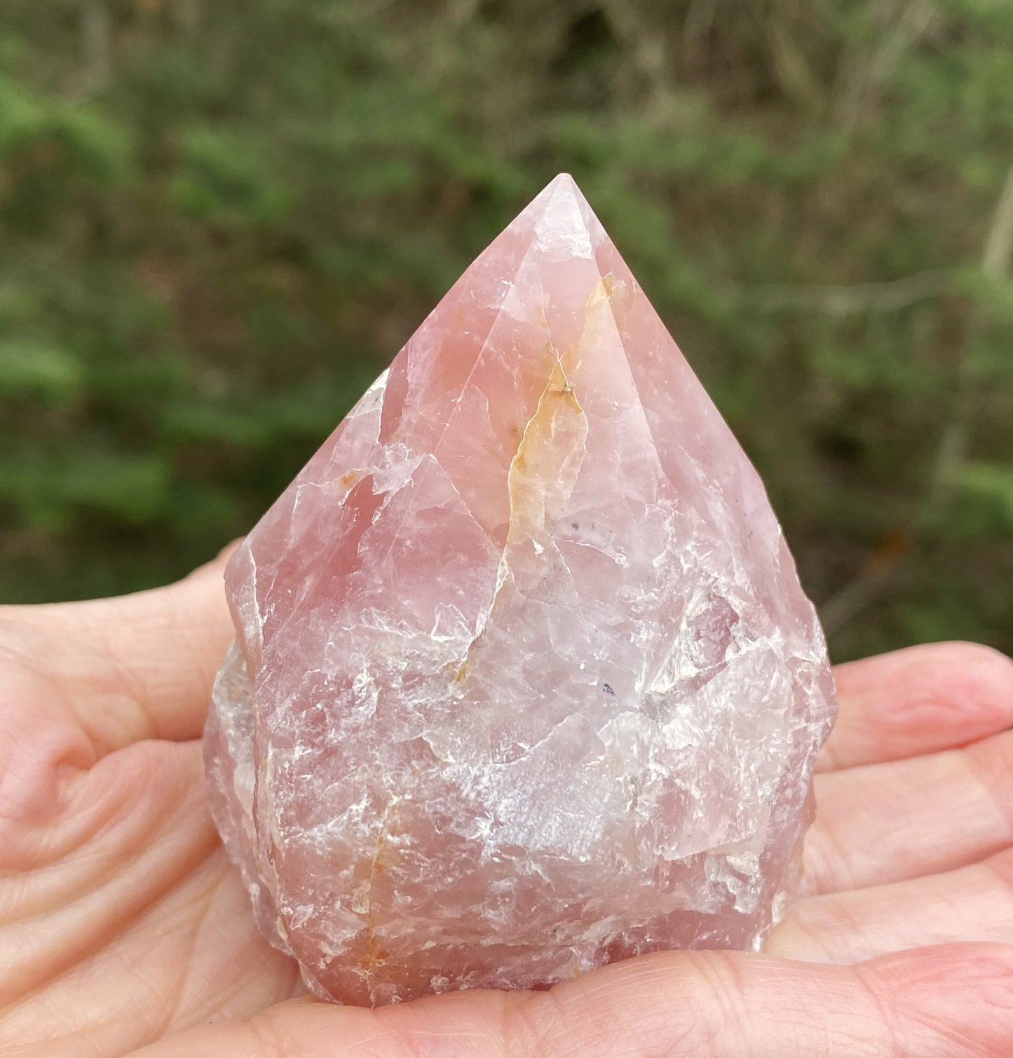 Rose Quartz Point Golden Healer Quartz Inclusions Love Compassion 29446S