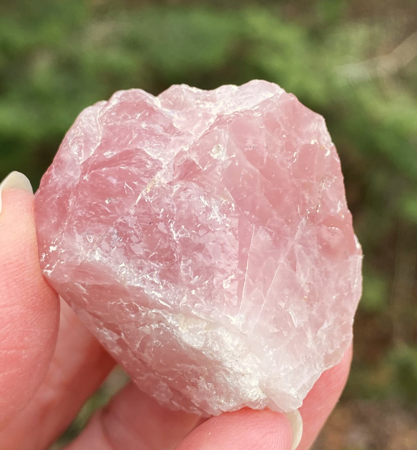 Rose Quartz Raw & Polished Point Love Compassion 29447S