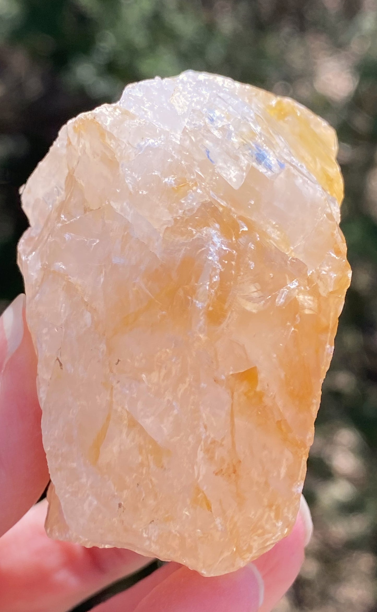 Golden Healer Quartz Raw Specimen Healing Protection 29380S