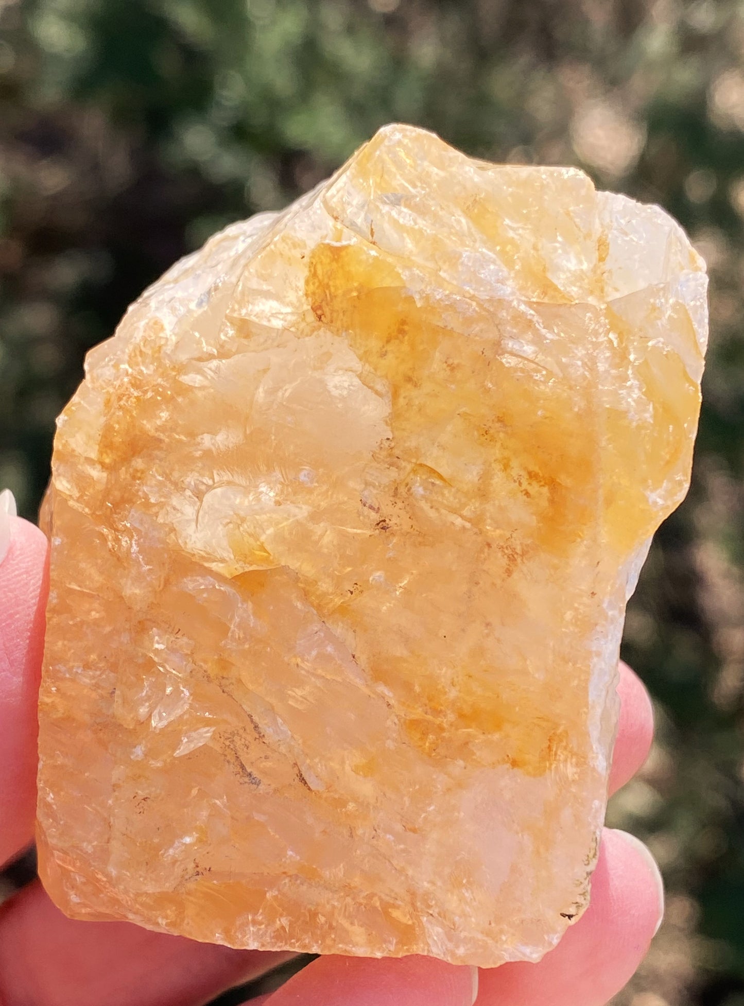 Golden Healer Quartz Raw Specimen Healing Protection 29380S