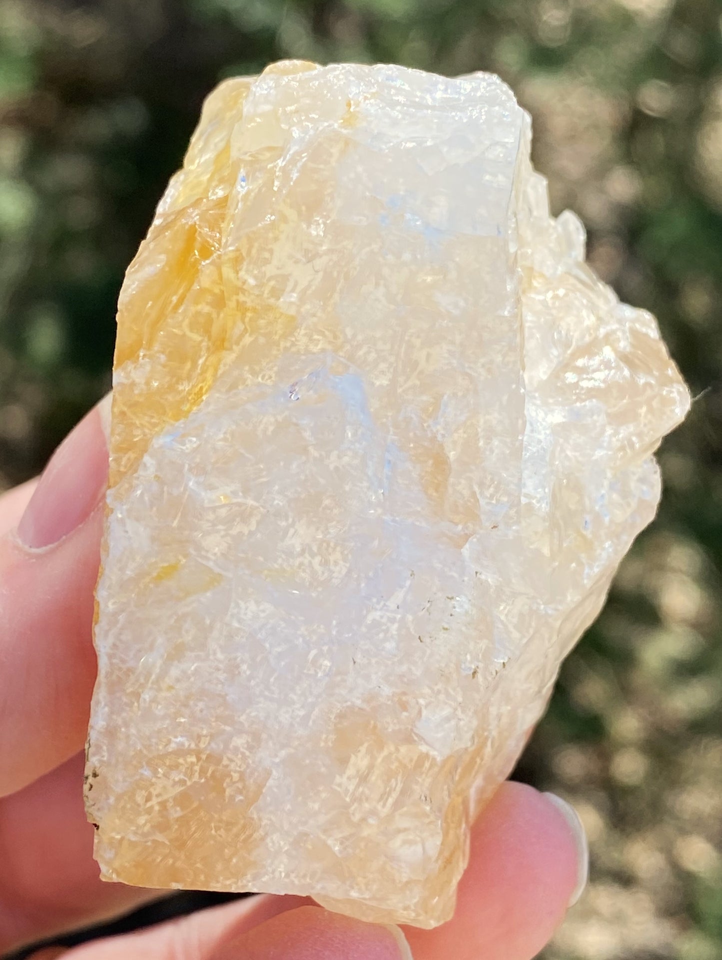 Golden Healer Quartz Raw Specimen Healing Protection 29380S