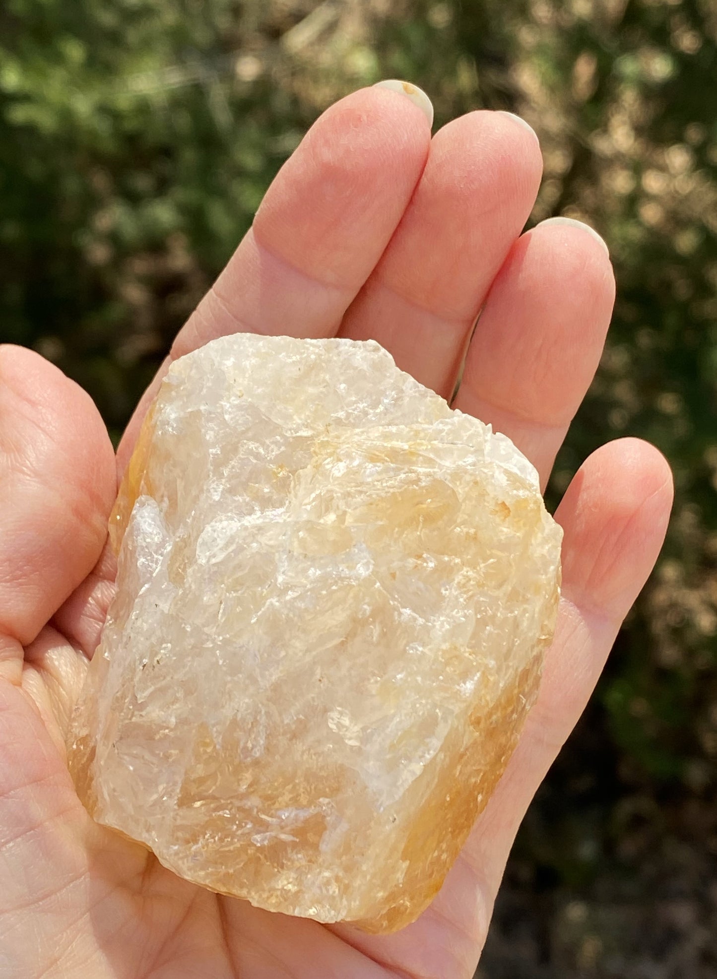 Golden Healer Quartz Raw Specimen Healing Protection 29380S