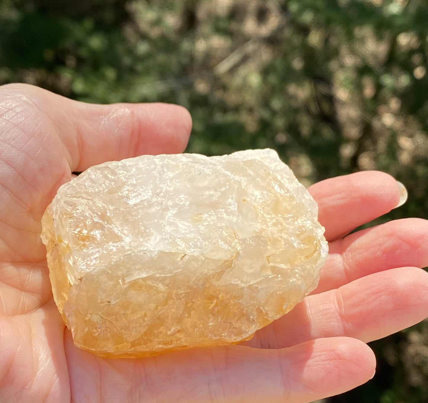 Golden Healer Quartz Raw Specimen Healing Protection 29380S