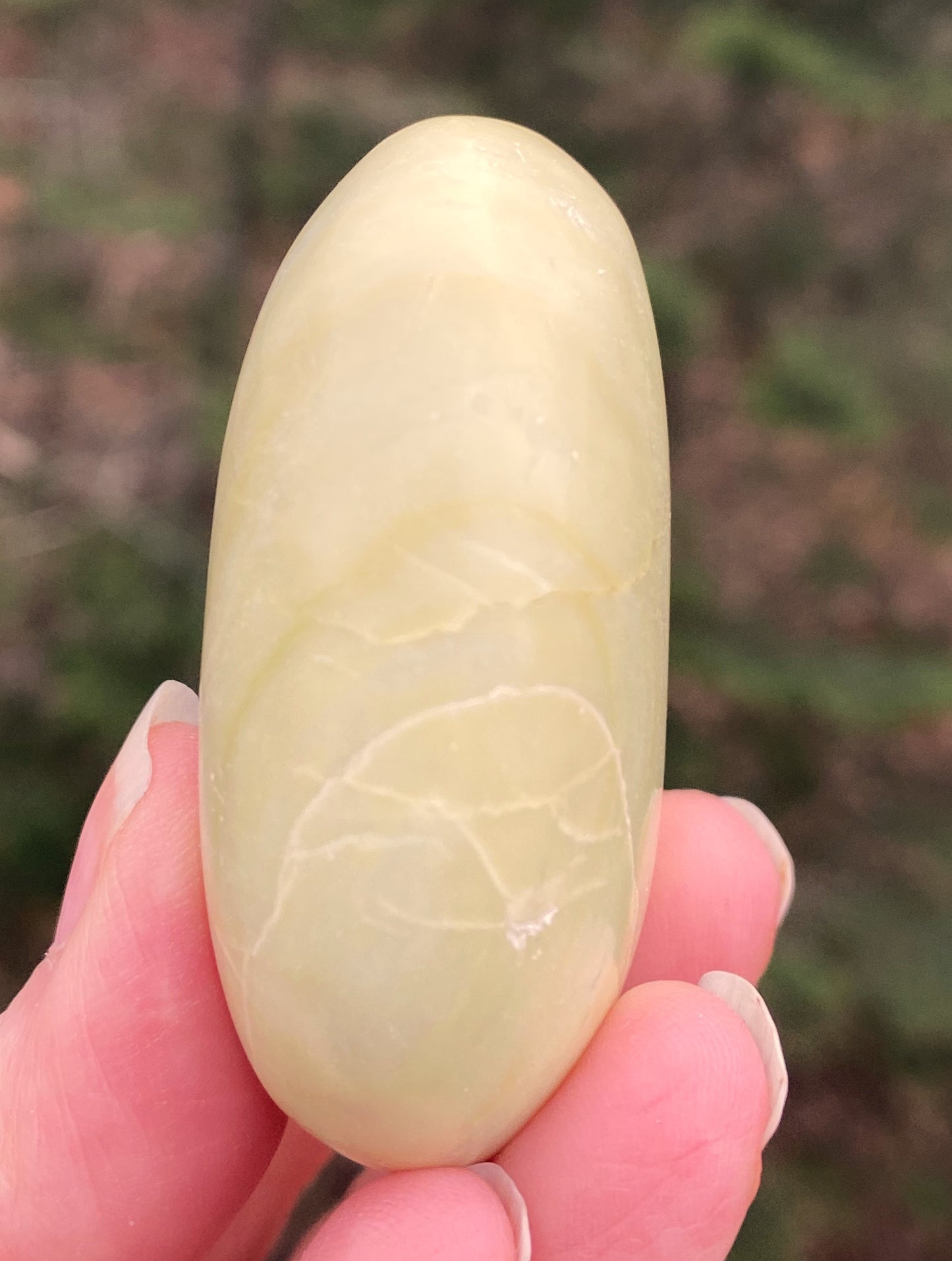 Serpentine Palm Stone Healing Wisdom Clearing 29423S