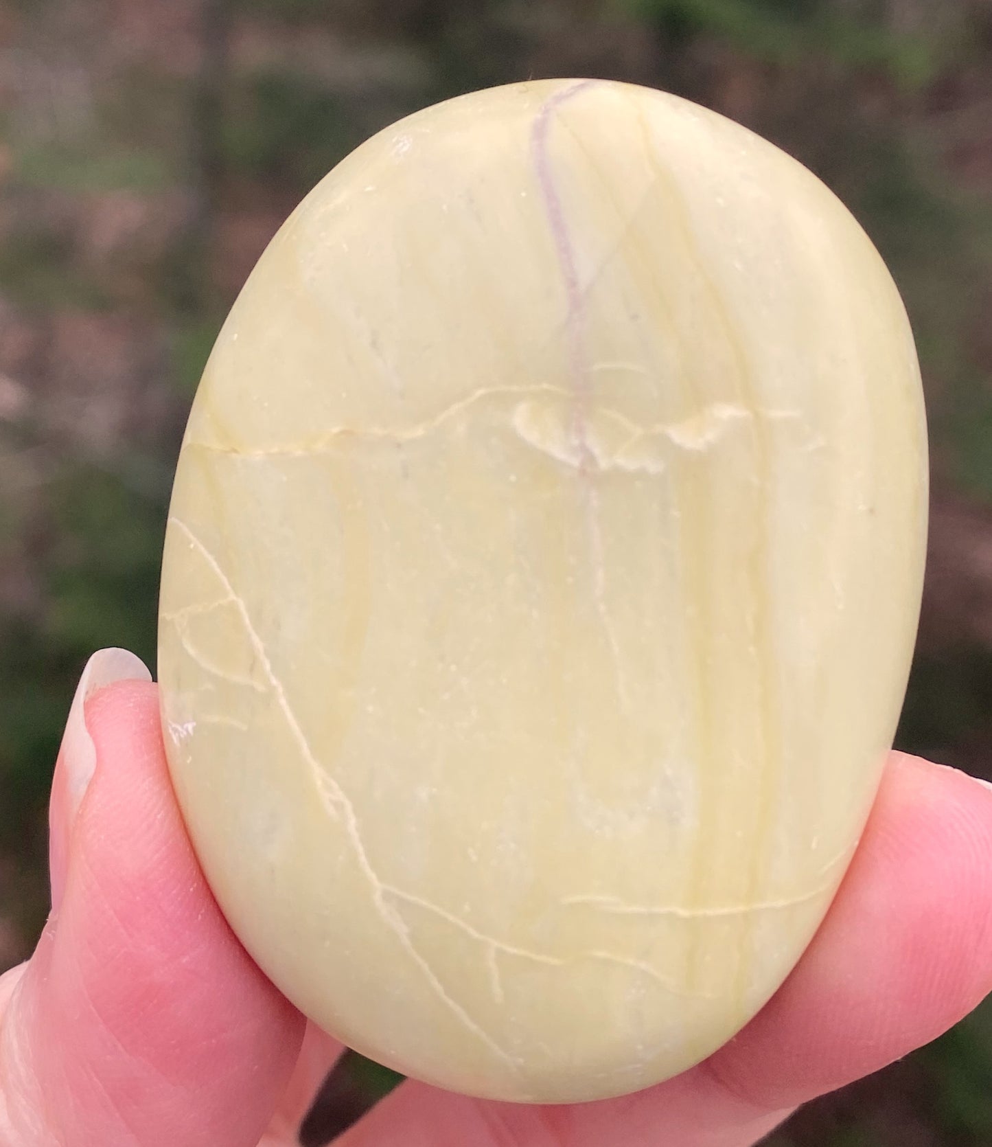 Serpentine Palm Stone Healing Wisdom Clearing 29423S