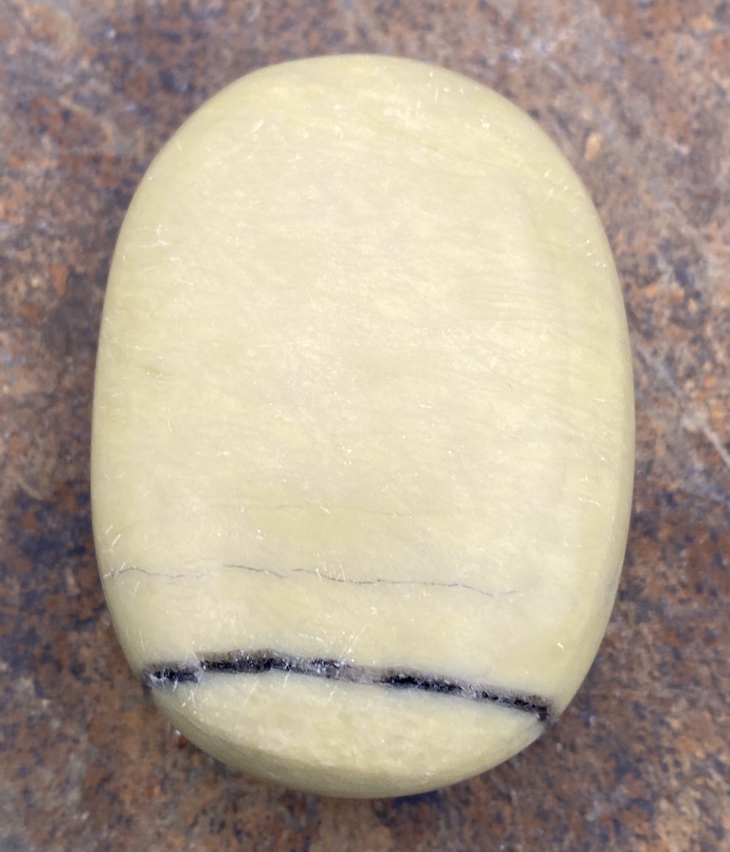 Serpentine Palm Stone Healing Wisdom Clearing 29424S