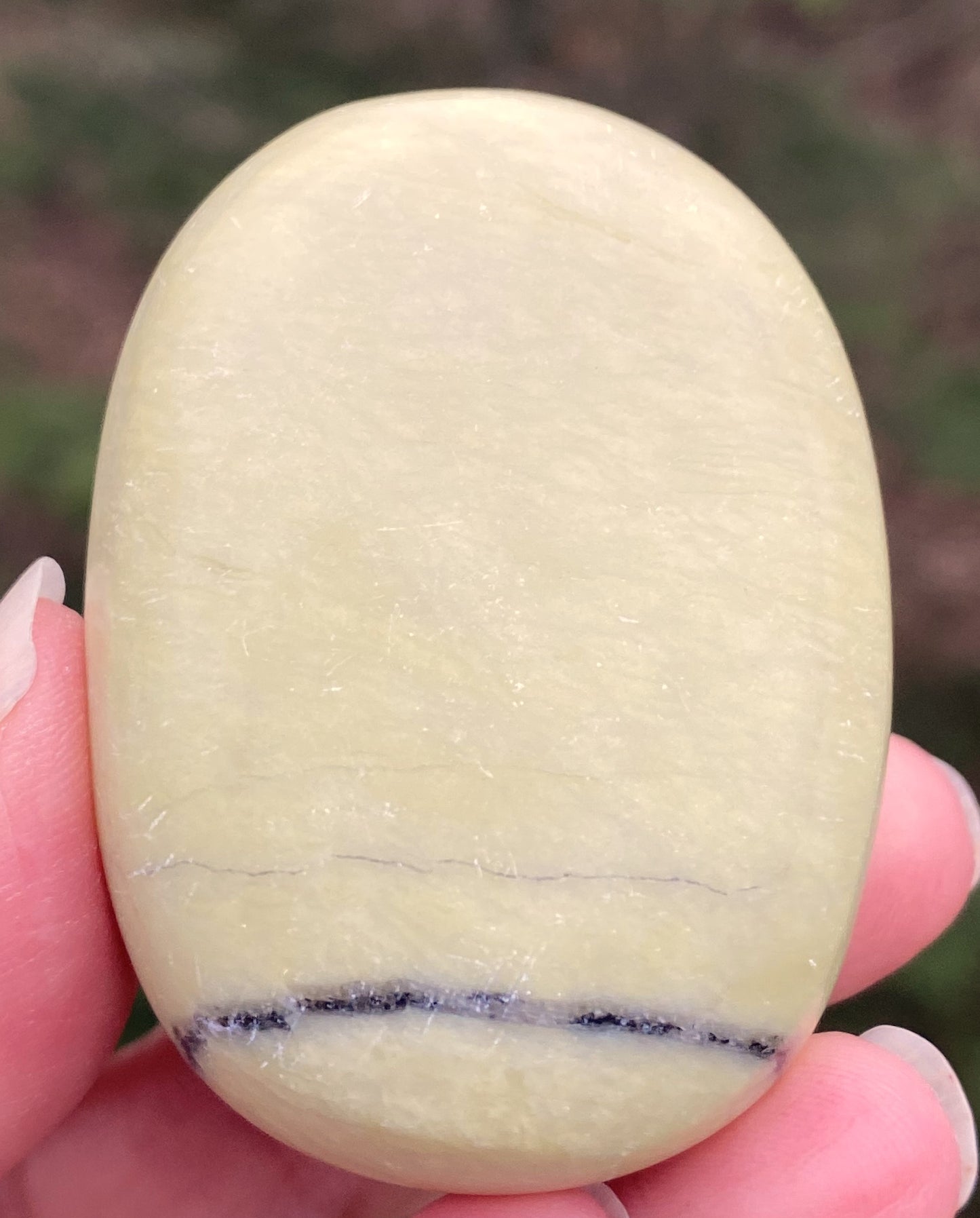 Serpentine Palm Stone Healing Wisdom Clearing 29424S