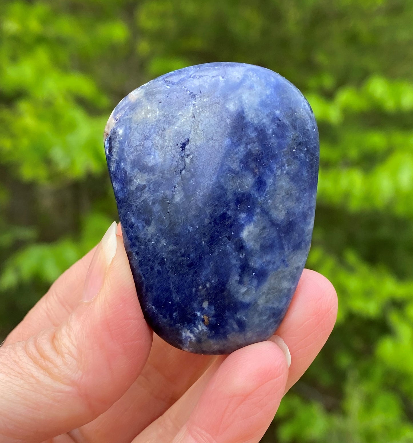 Sodalite Blue Large Pocket Stone Focus Energy Intuition 28731S