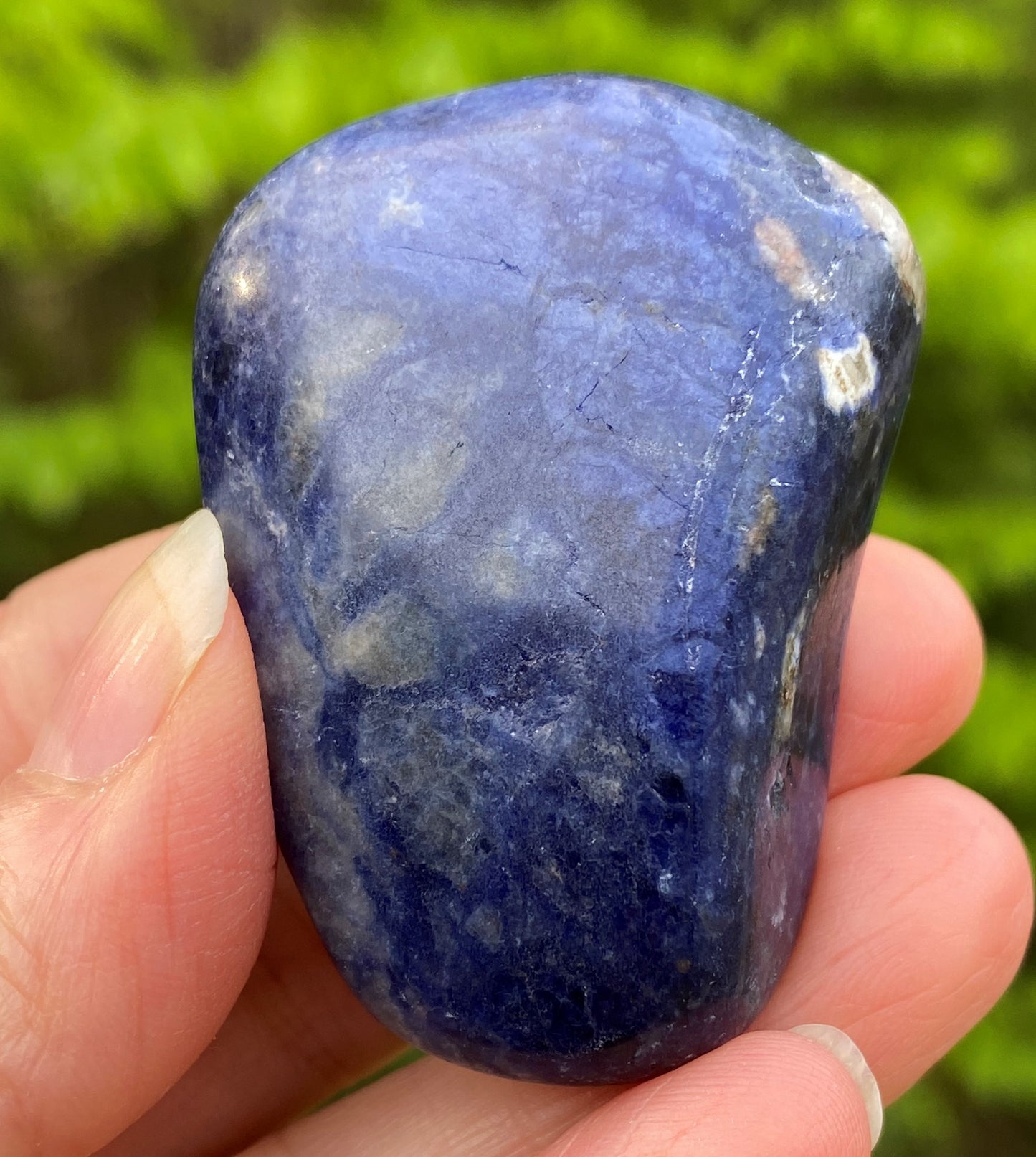 Sodalite Blue Large Pocket Stone Focus Energy Intuition 28731S
