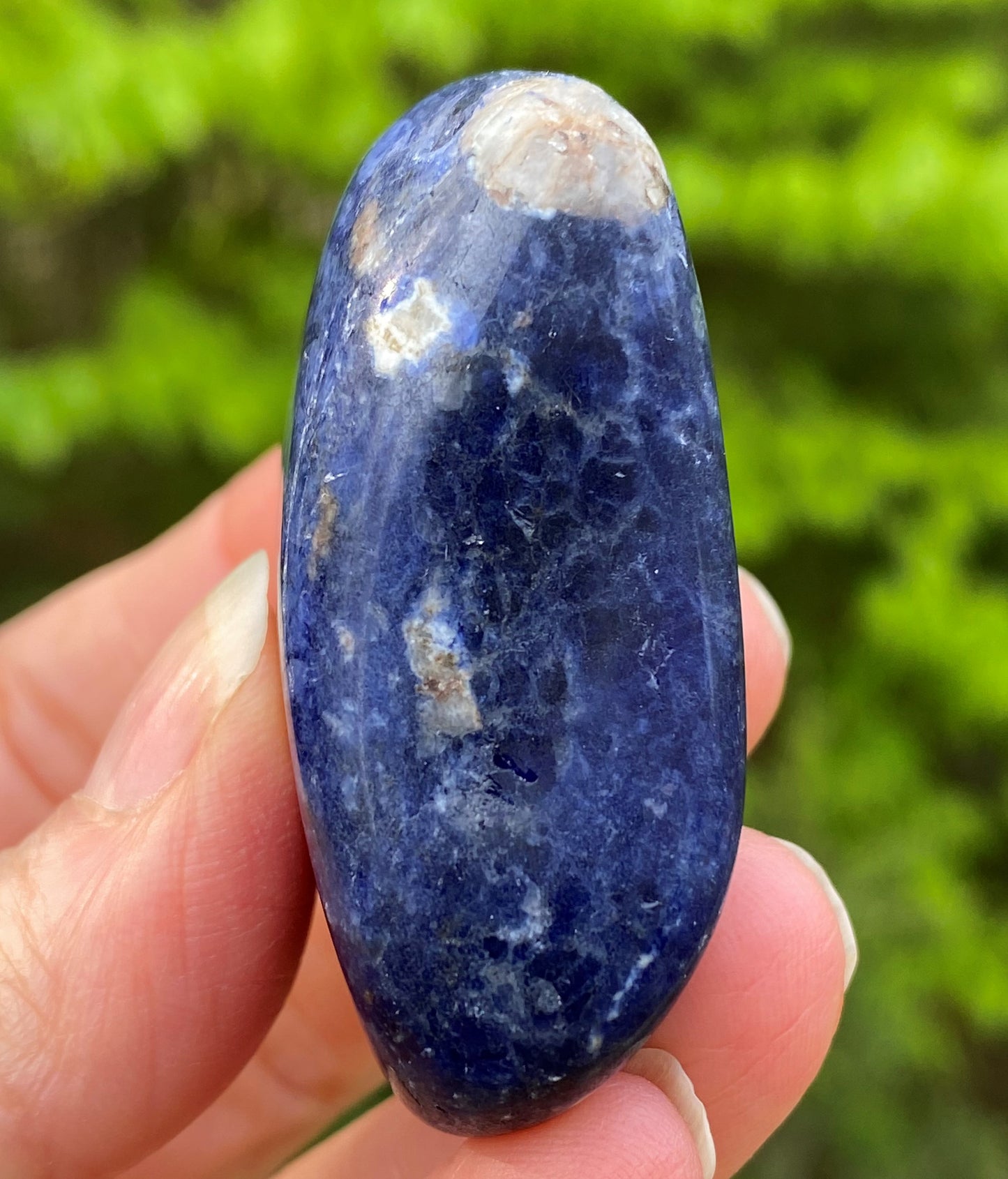 Sodalite Blue Large Pocket Stone Focus Energy Intuition 28731S