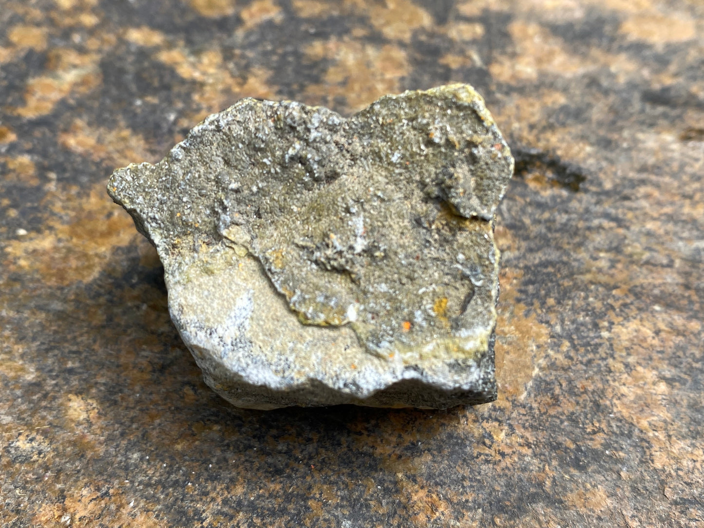 Bumble Bee Jasper Raw Indonesia Success Protection 28919S