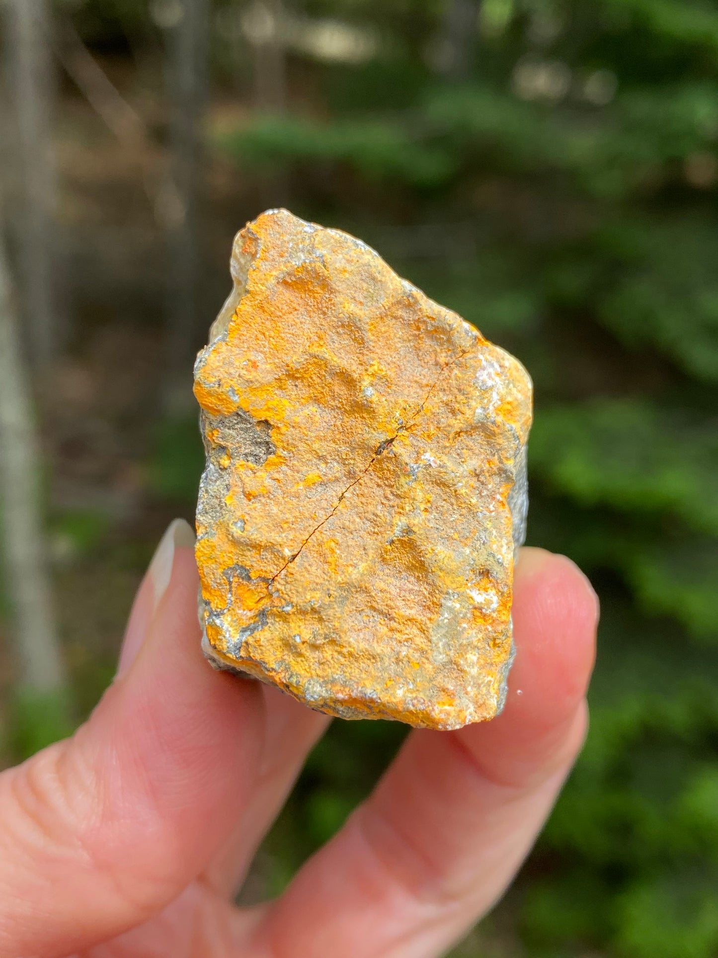 Bumble Bee Jasper Raw Indonesia Success Protection 28919S