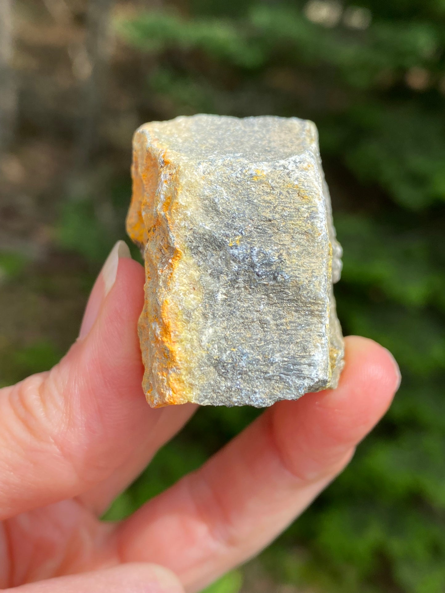 Bumble Bee Jasper Raw Indonesia Success Protection 28919S
