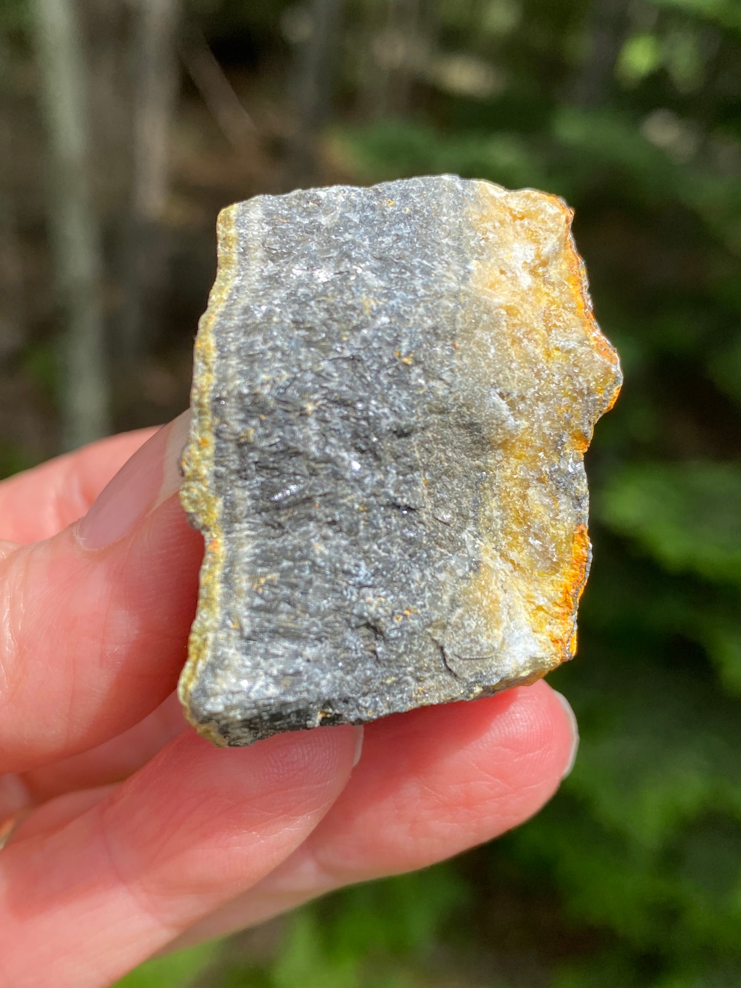 Bumble Bee Jasper Raw Indonesia Success Protection 28919S