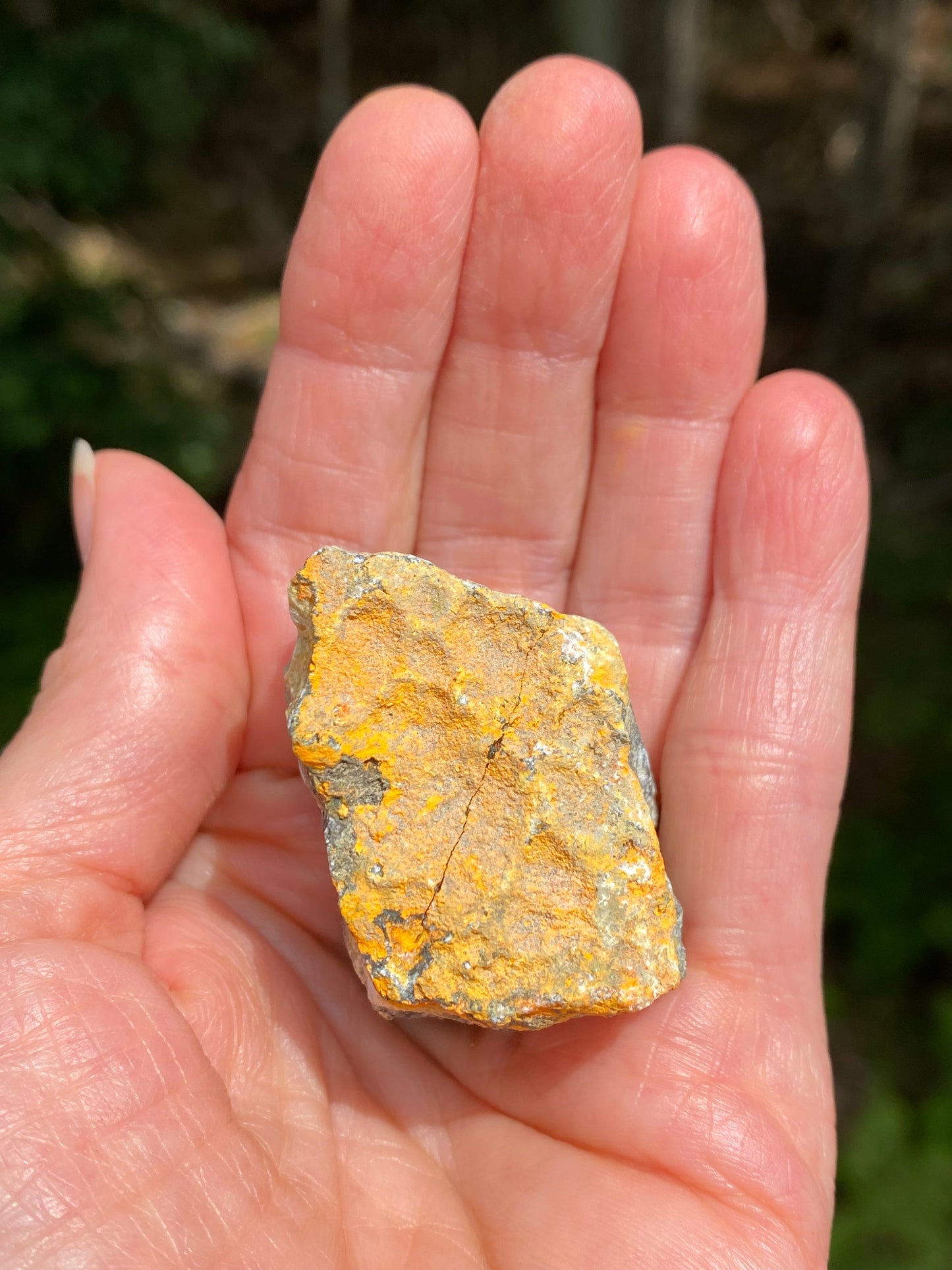 Bumble Bee Jasper Raw Indonesia Success Protection 28919S