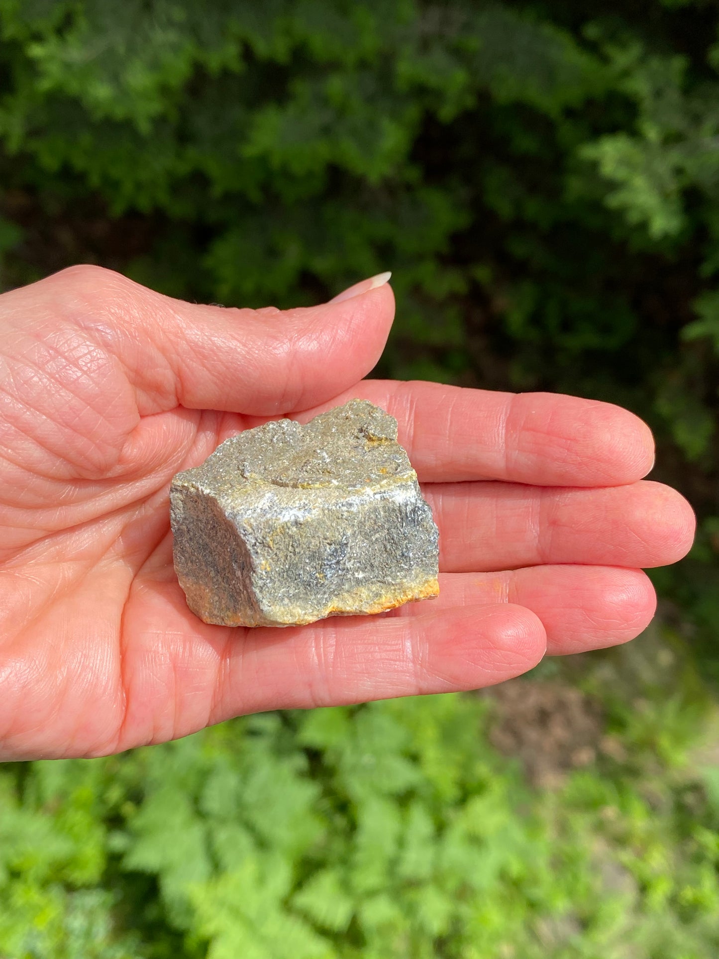 Bumble Bee Jasper Raw Indonesia Success Protection 28919S