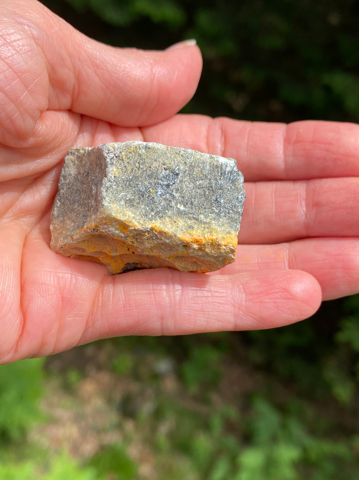 Bumble Bee Jasper Raw Indonesia Success Protection 28919S