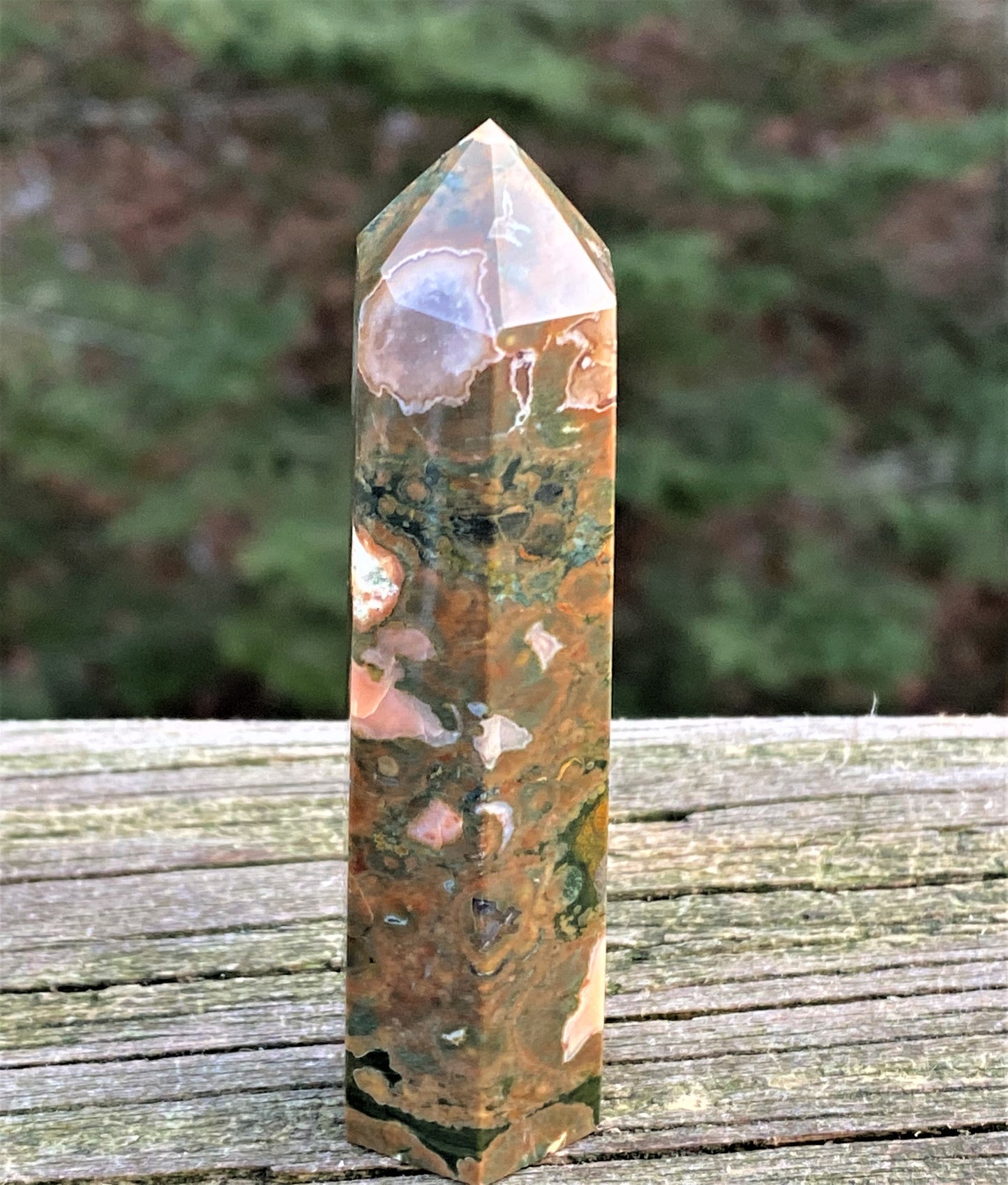 Rhyolite Point Tower Protection Communication 28265S