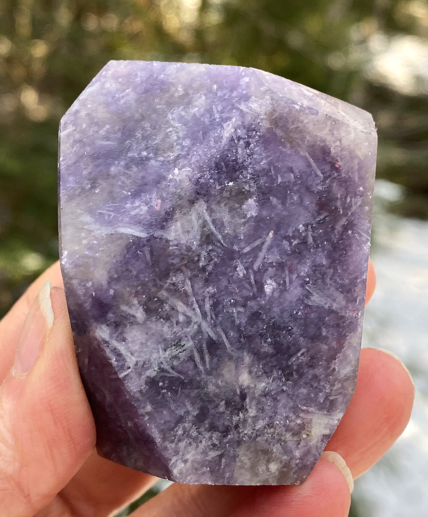 Unicorn Stone Free Form Palm Stone Size Creativity Spirit Guides Protection 29971S