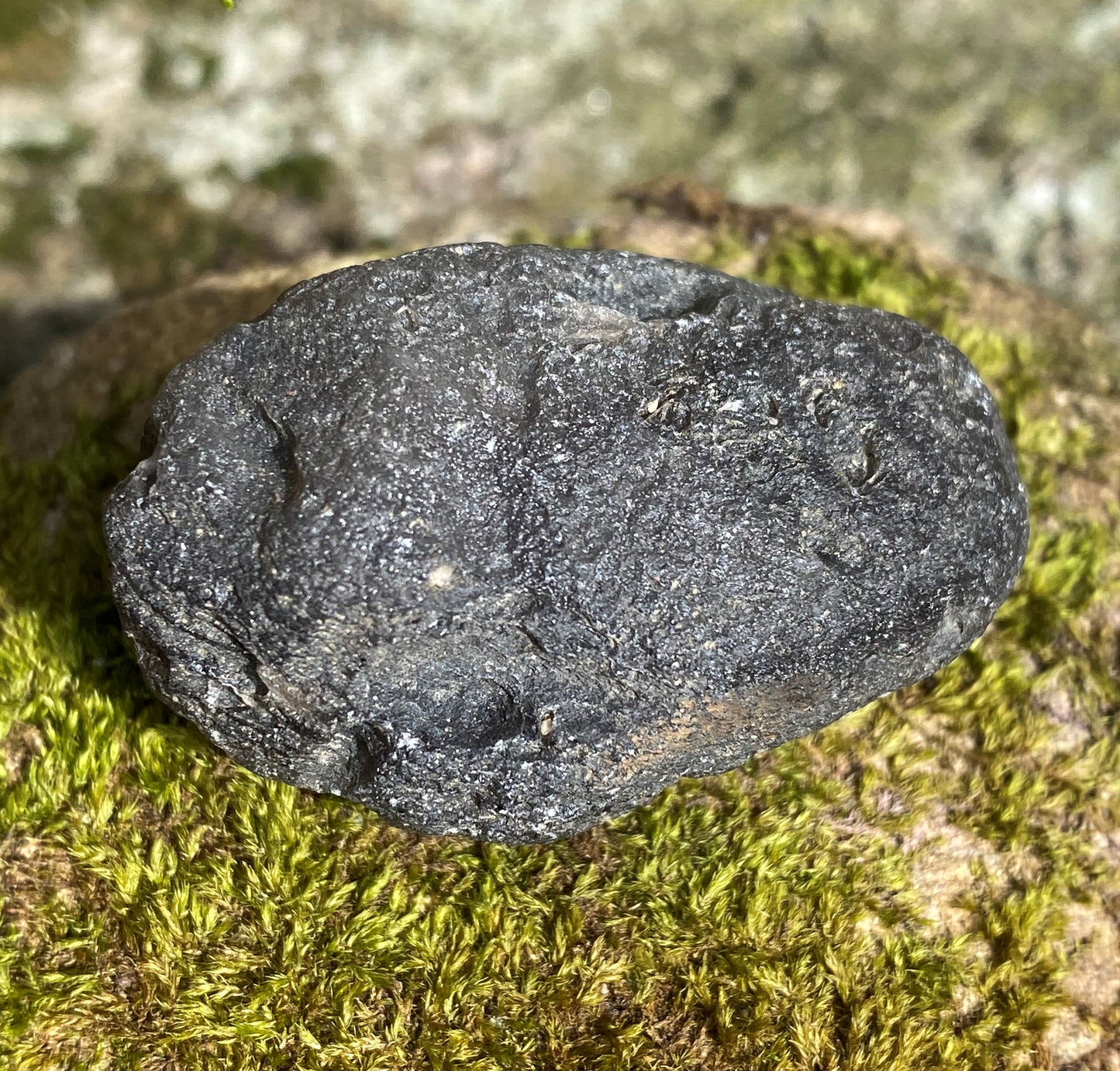 Agni Manitite Raw Tektite Lg Pocket Stone Communication Spiritual 28602S