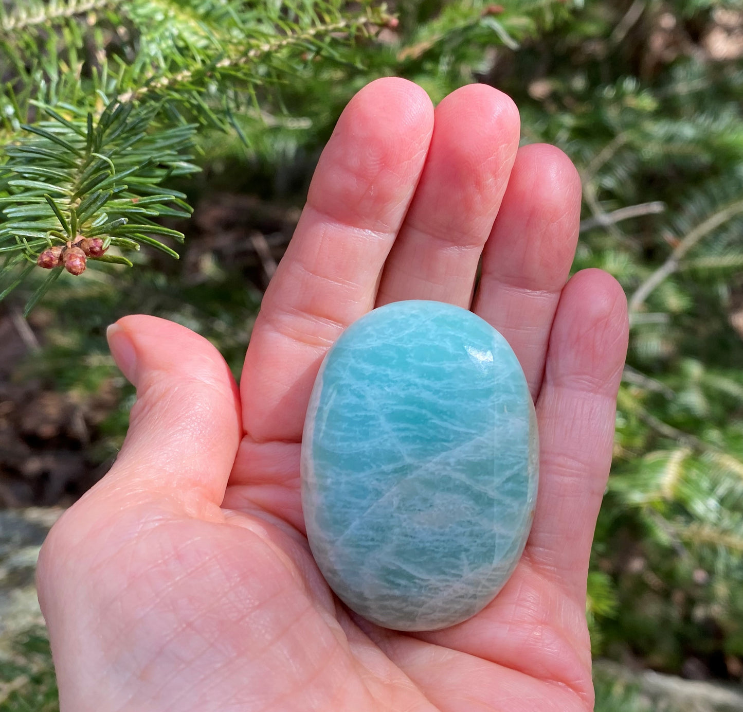 Amazonite Palm Stone Truth Balance Communication 28619S