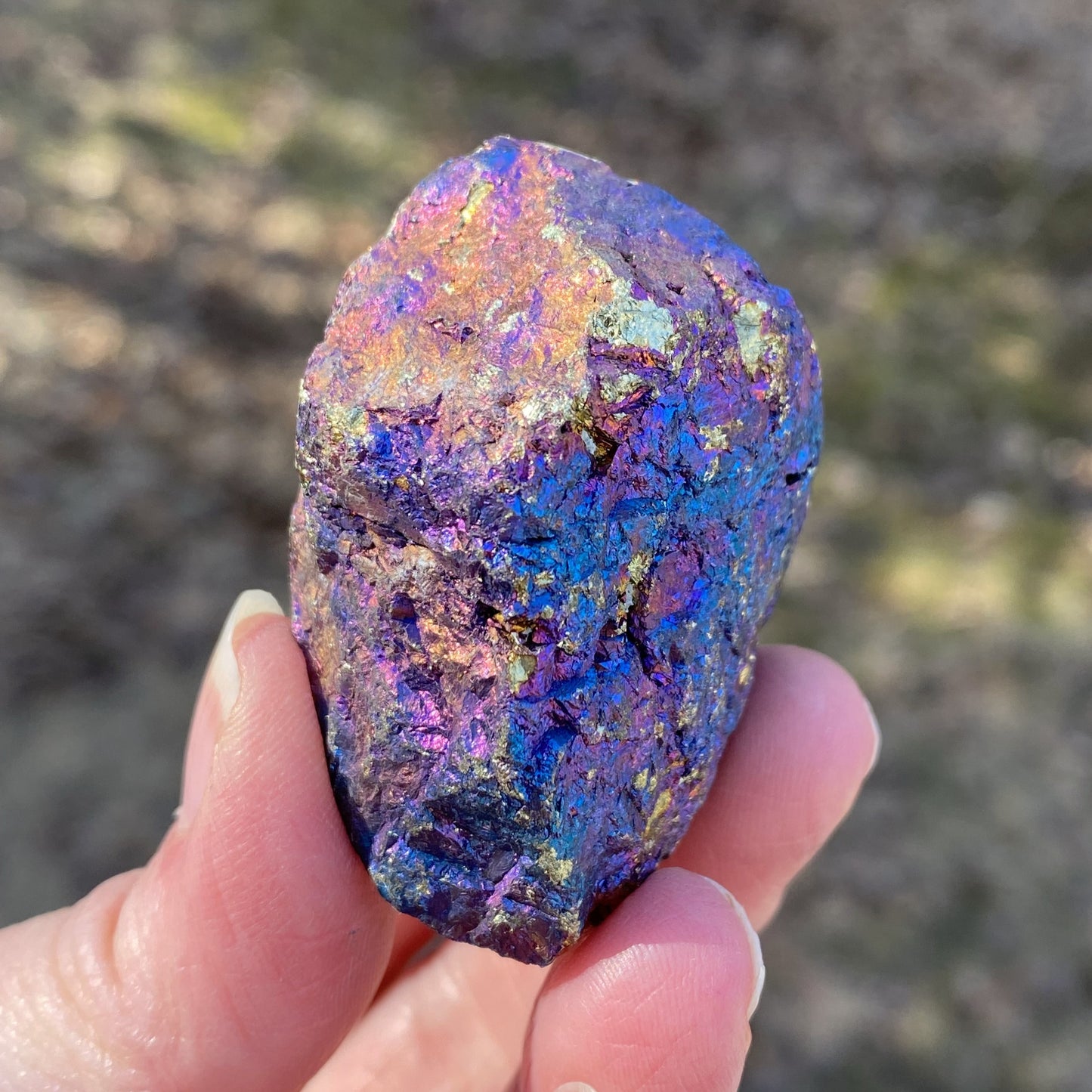 Peacock Ore Specimen Rough Wellness Joy Balance 29272S