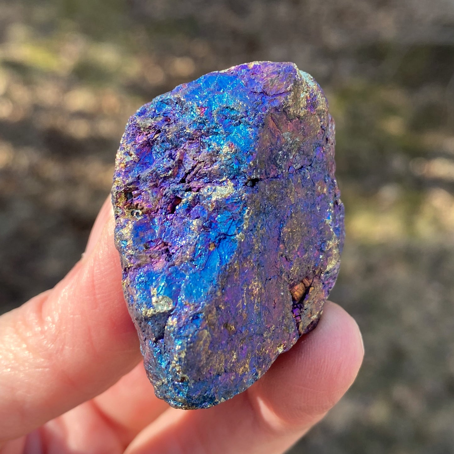 Peacock Ore Specimen Rough Wellness Joy Balance 29272S