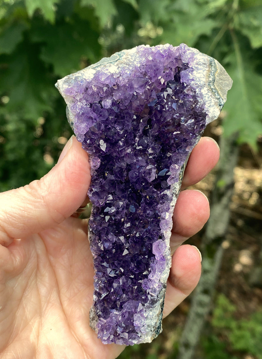 Amethyst Druzy  Uruguay  Protection Balance Intuition 31625S