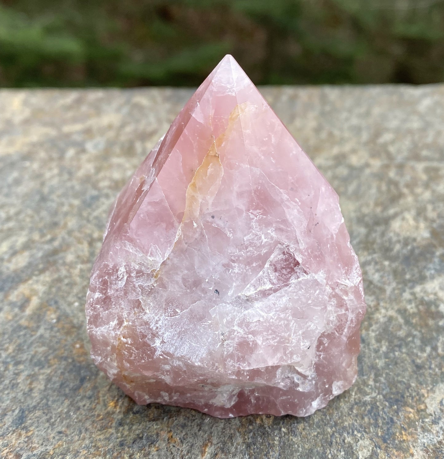 Rose Quartz Point  Golden Healer Quartz Inclusions  Love Compassion 29446S