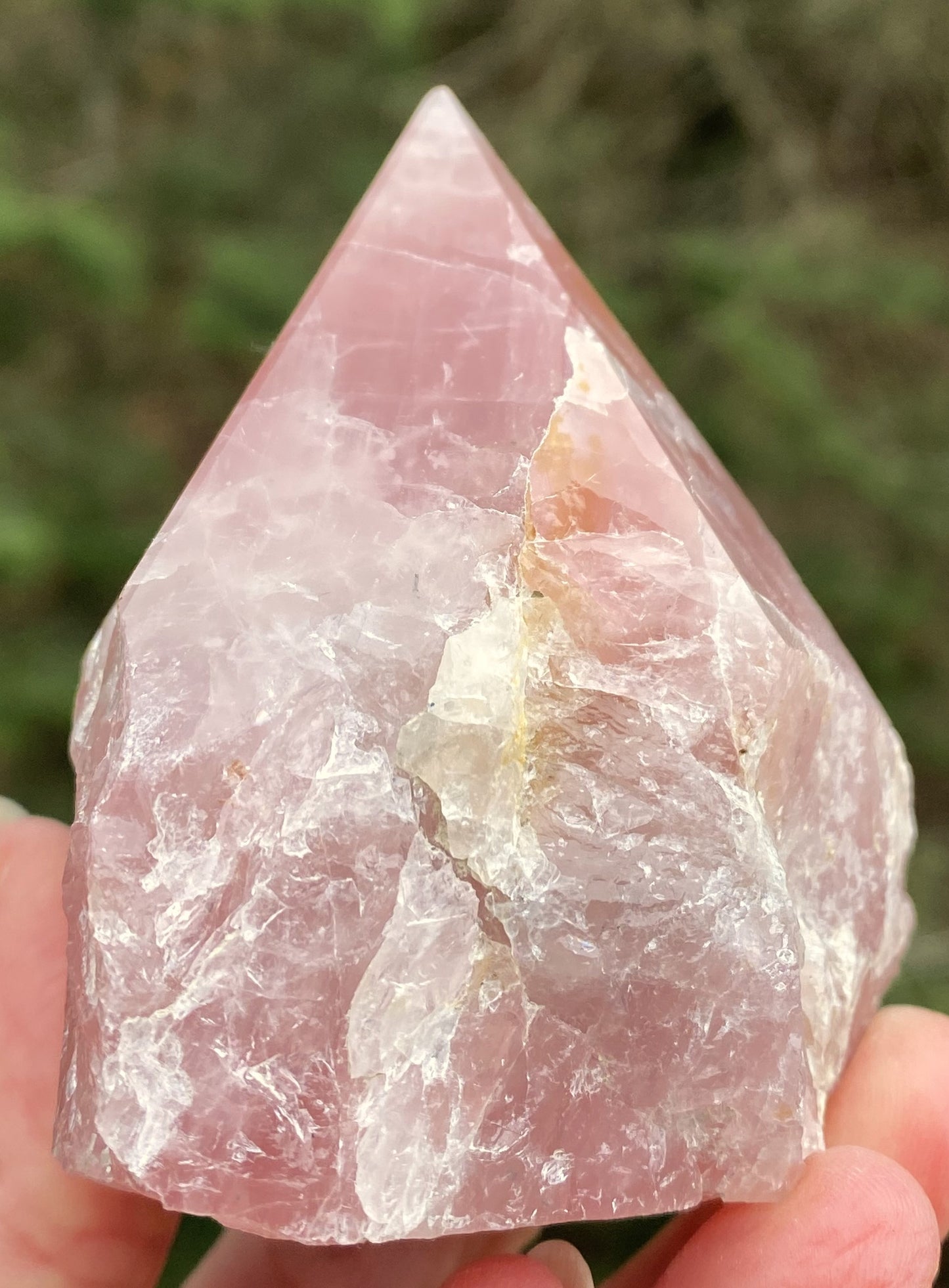 Rose Quartz Point  Golden Healer Quartz Inclusions  Love Compassion 29446S