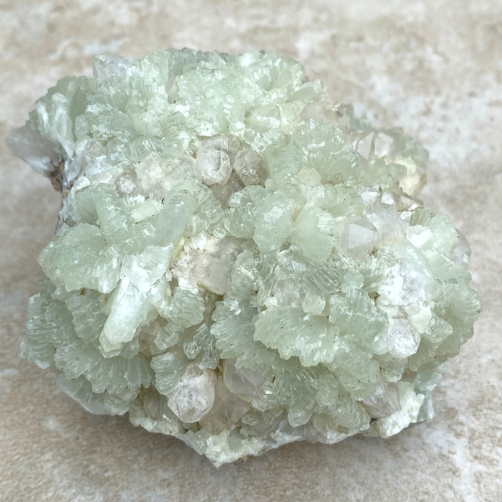 Prehnite Druzy  Green Raw Piece  Protective Harmony 31571S