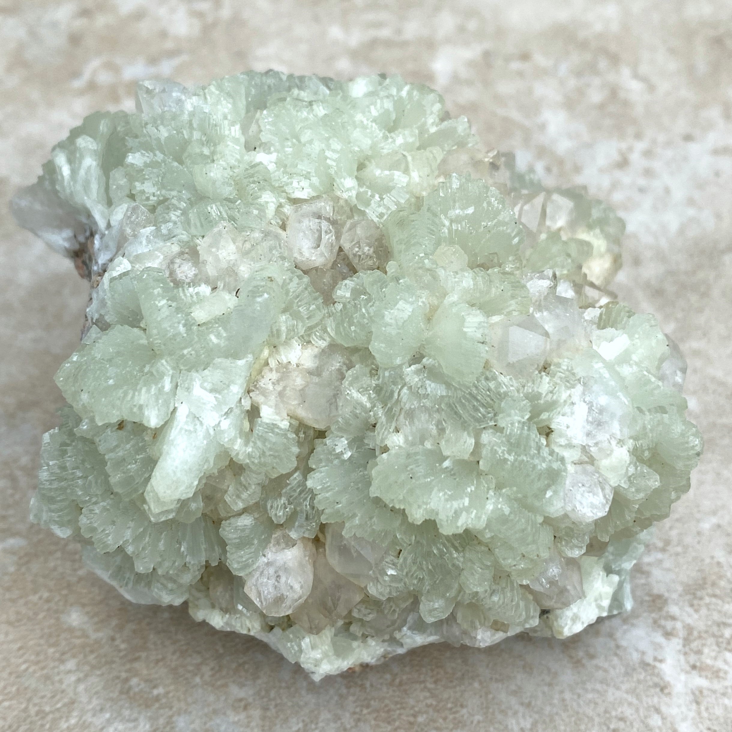 Prehnite Druzy  Green Raw Piece  Protective Harmony 31571S