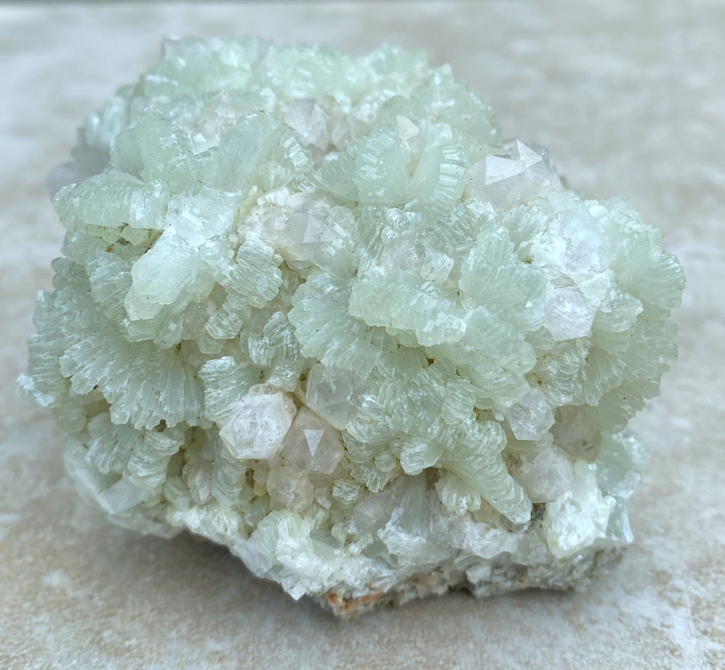 Prehnite Druzy  Green Raw Piece  Protective Harmony 31571S
