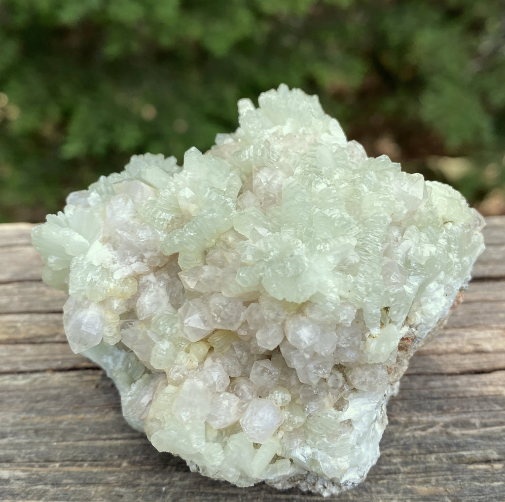 Prehnite Druzy  Green Raw Piece  Protective Harmony 31571S