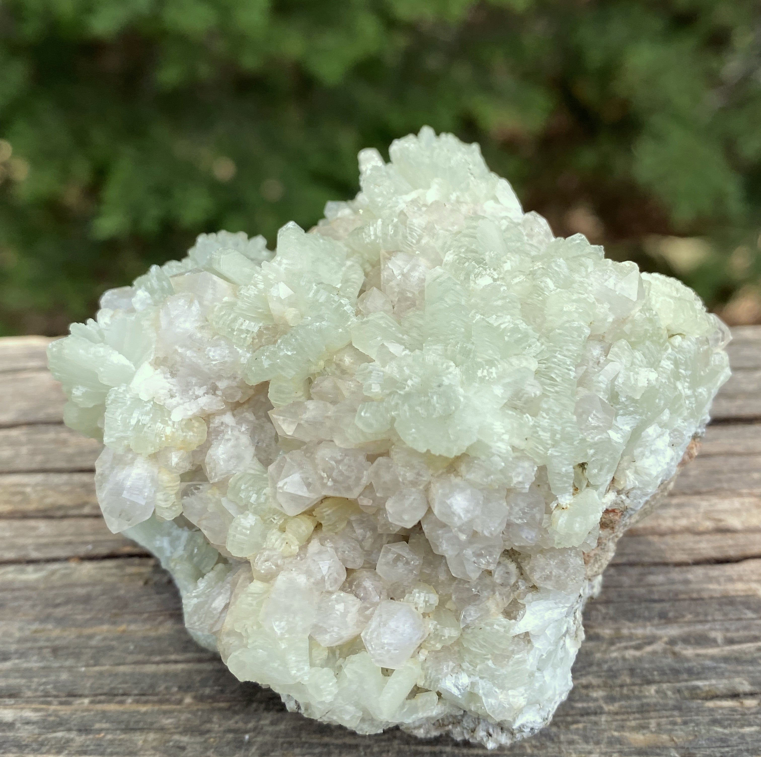 Prehnite Druzy  Green Raw Piece  Protective Harmony 31571S