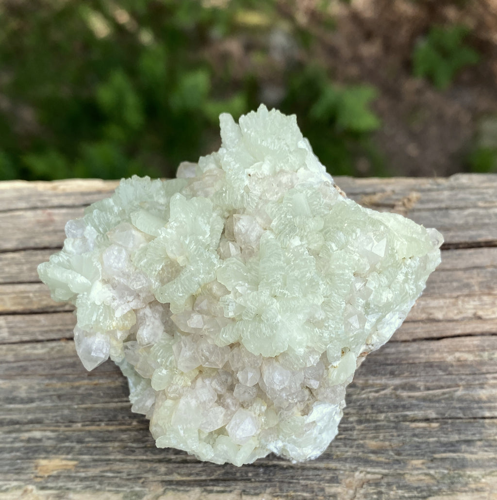 Prehnite Druzy  Green Raw Piece  Protective Harmony 31571S