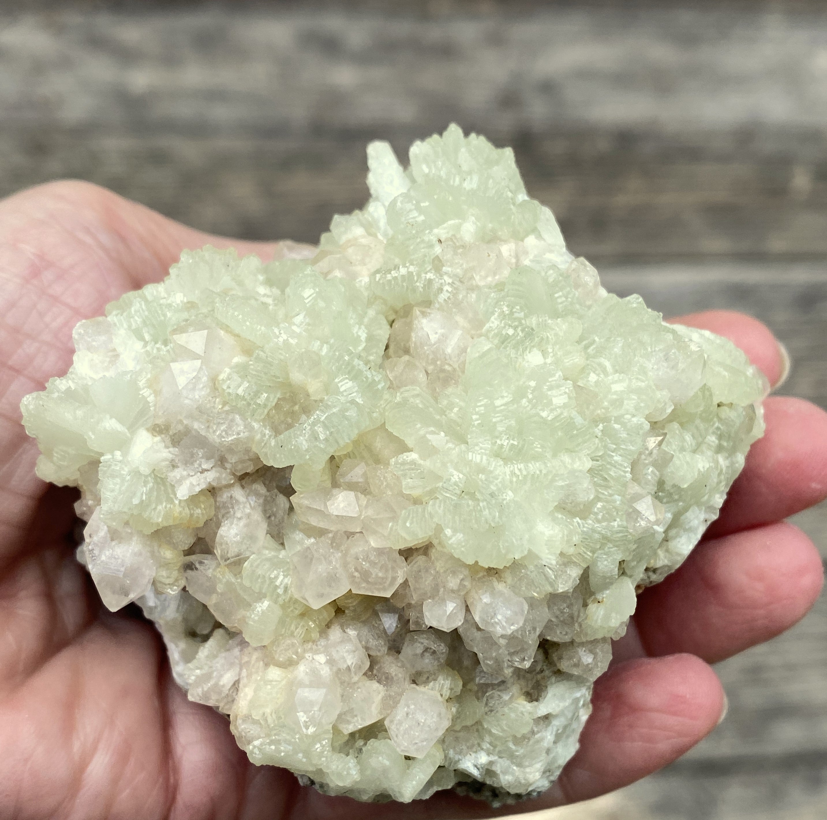 Prehnite Druzy  Green Raw Piece  Protective Harmony 31571S