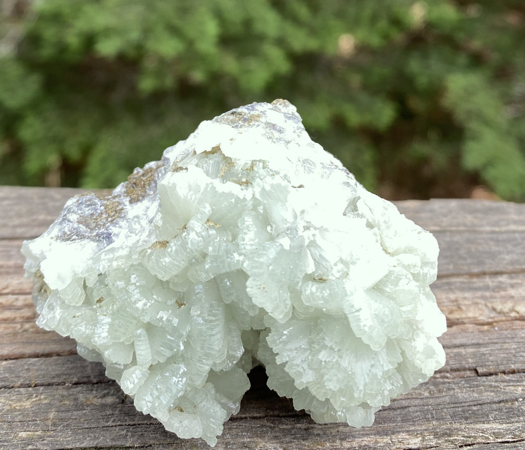 Prehnite Druzy  Green Raw Piece  Protective Harmony 31572S