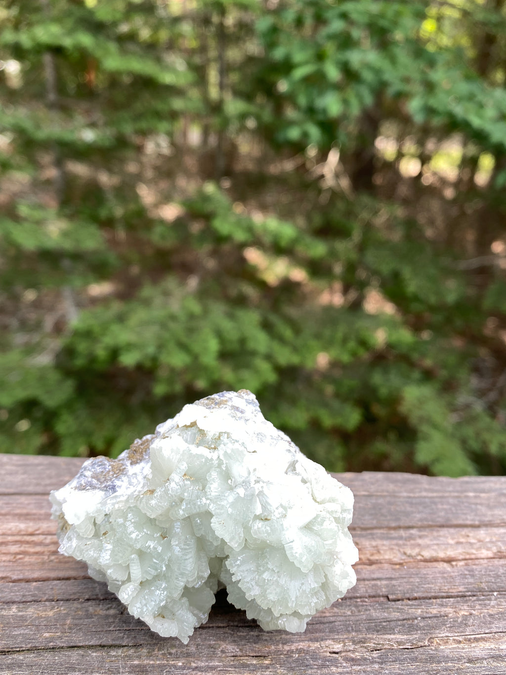 Prehnite Druzy  Green Raw Piece  Protective Harmony 31572S
