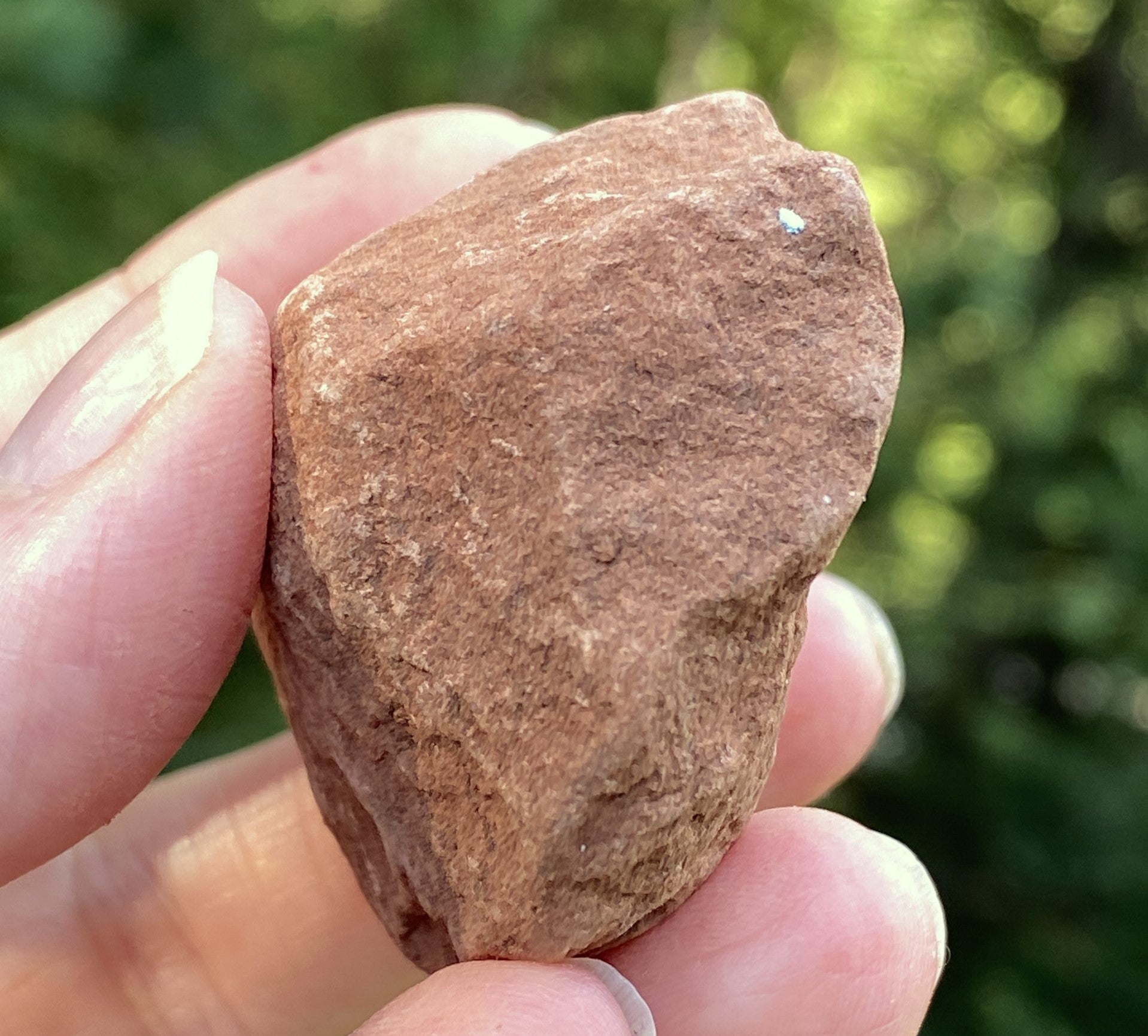 Sedona Red Rock Vortex Stone  Raw  Energy Wellbeing 31593S