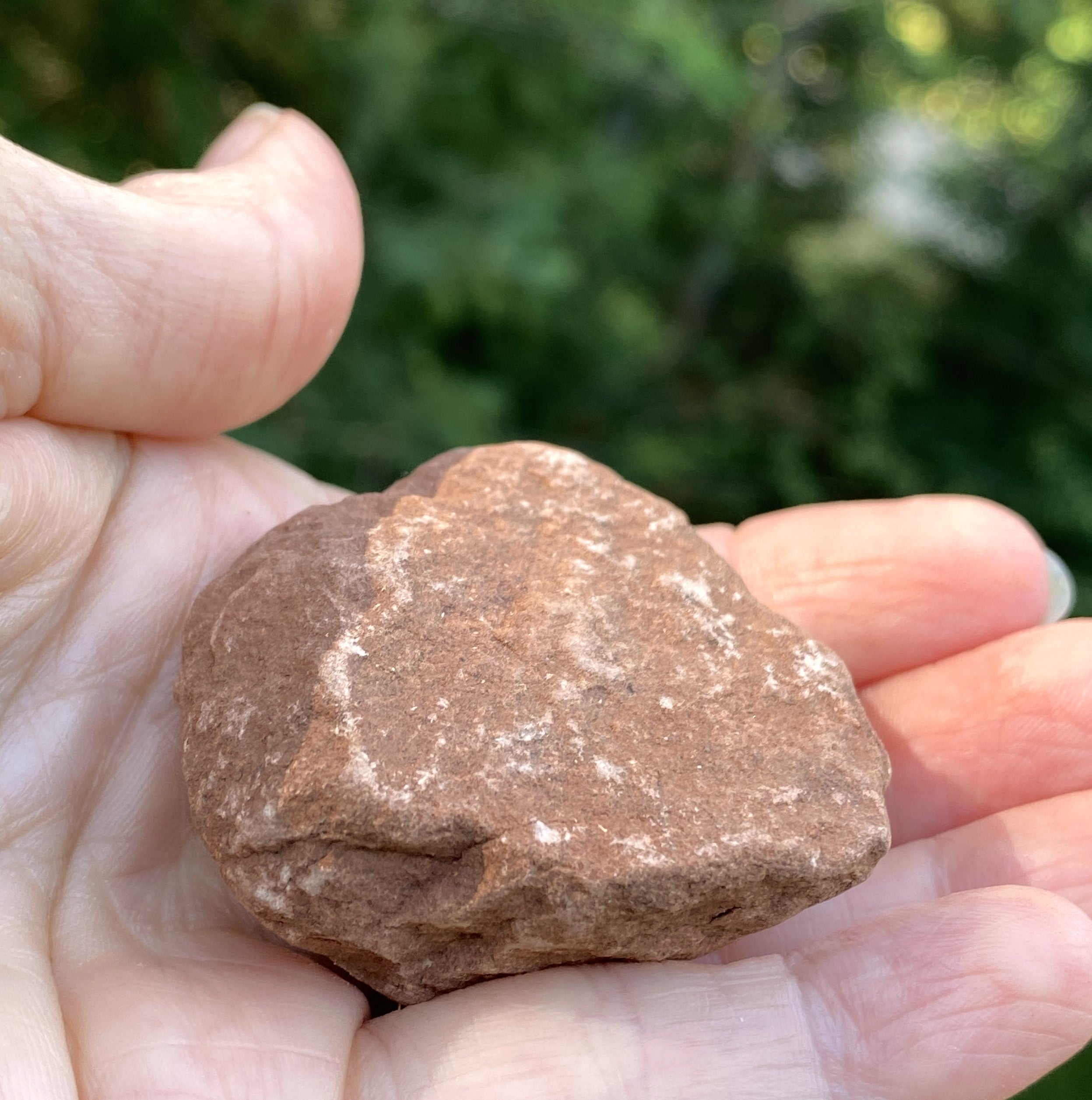 Sedona Red Rock Vortex Stone  Raw  Energy Wellbeing 31593S