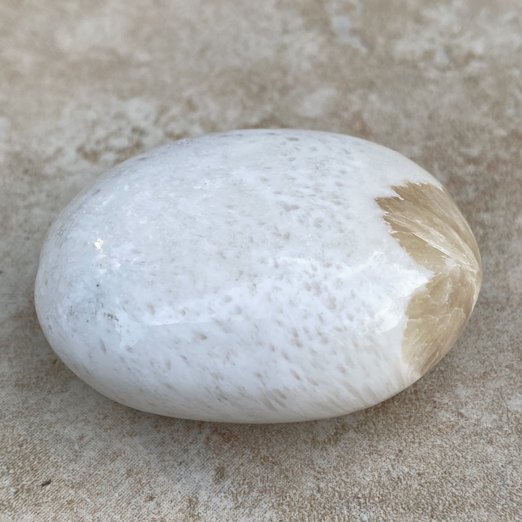 Scolecite White Palm Stone  Peace Relaxation 31601S