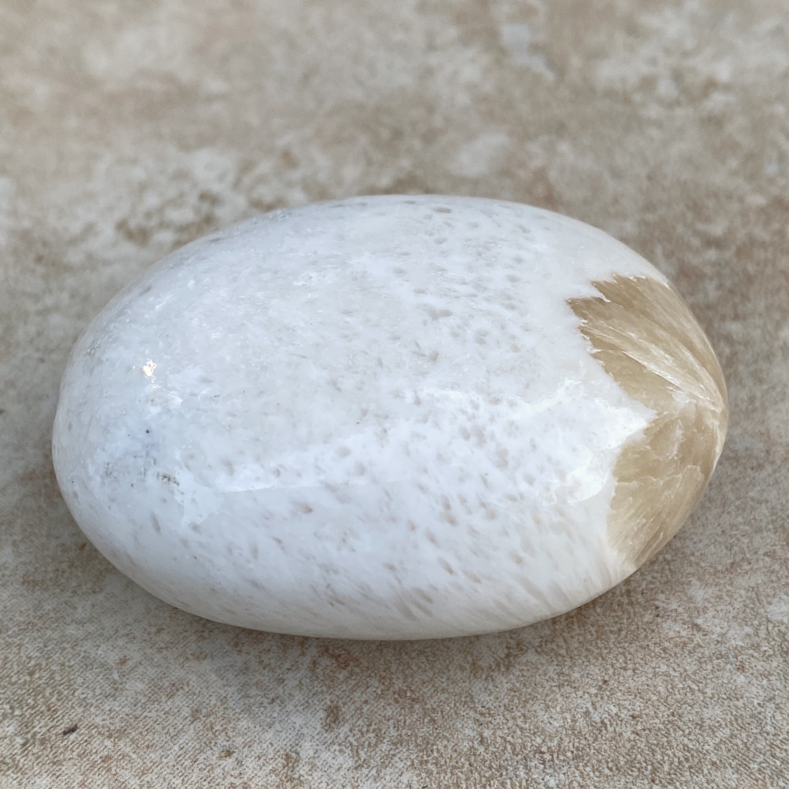 Scolecite White Palm Stone  Peace Relaxation 31601S