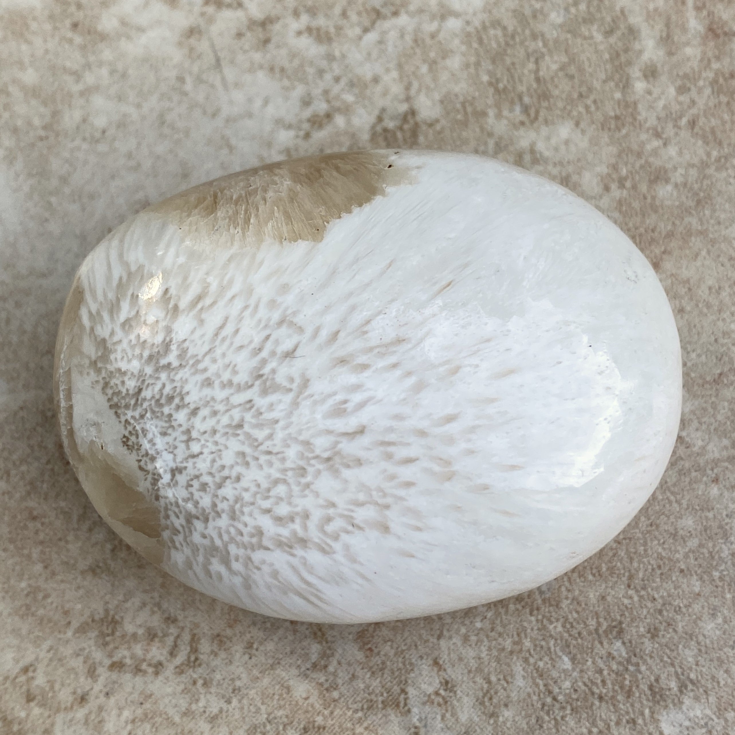 Scolecite White Palm Stone  Peace Relaxation 31601S